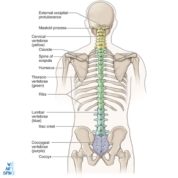 Spine Specialist in Thane - Dr. Priyank Patel